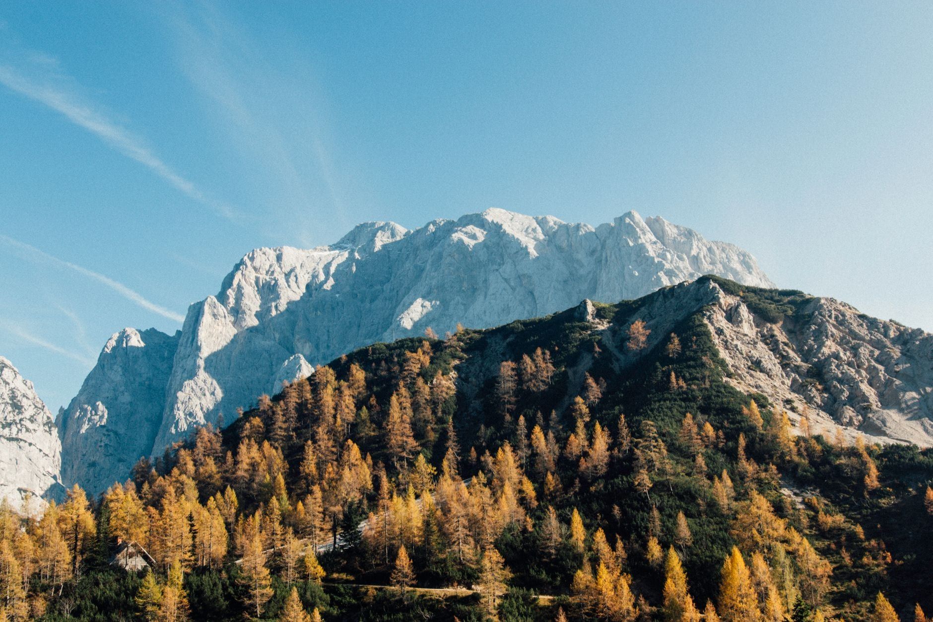 Rauhe Kalksteinberge ragen hinter goldenen Herbstlärchen im Triglav-Nationalpark auf.