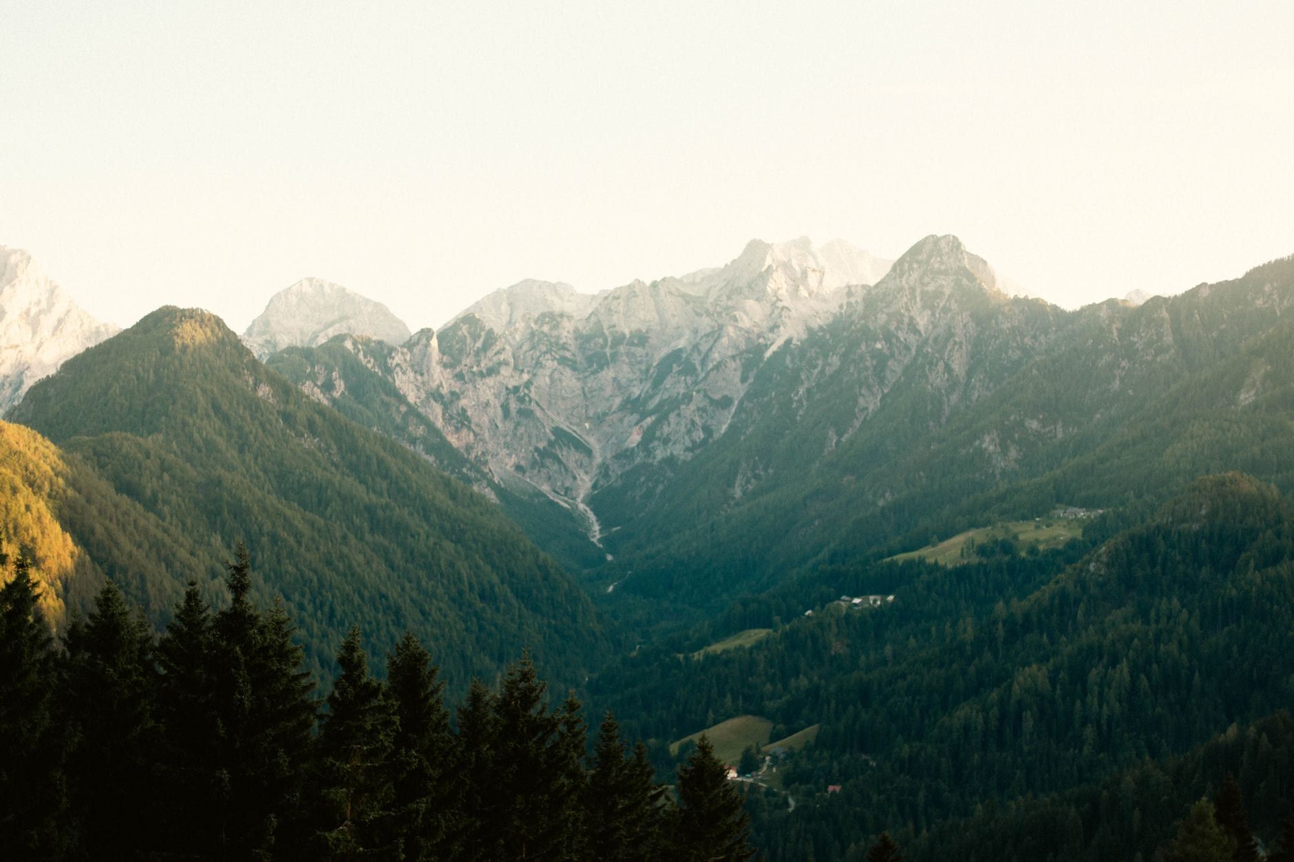 Panoramisch uitzicht over dennenbegroeide hellingen en ruige kalkstenen toppen in het Triglav Nationaal Park.