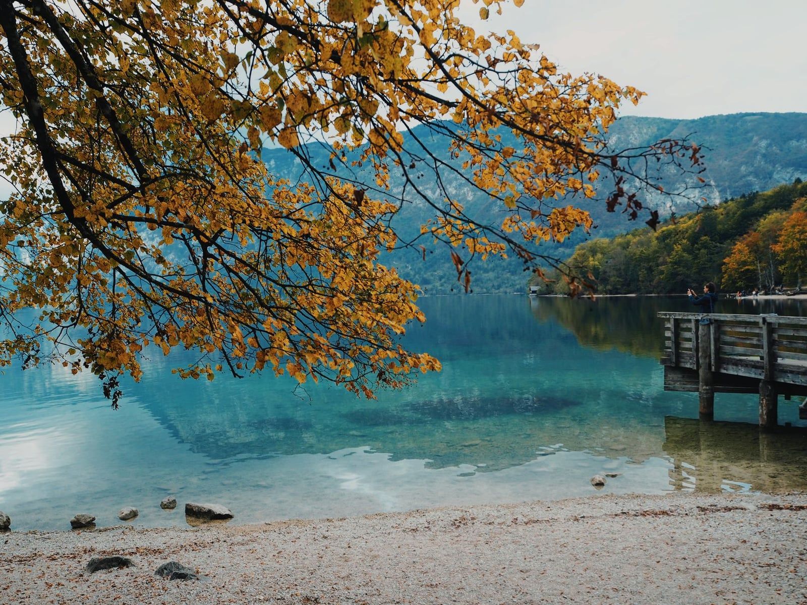 Golden autumn leaves frame the clear turquoise water and a wooden pier at Lake Bohinj in Triglav National Park.