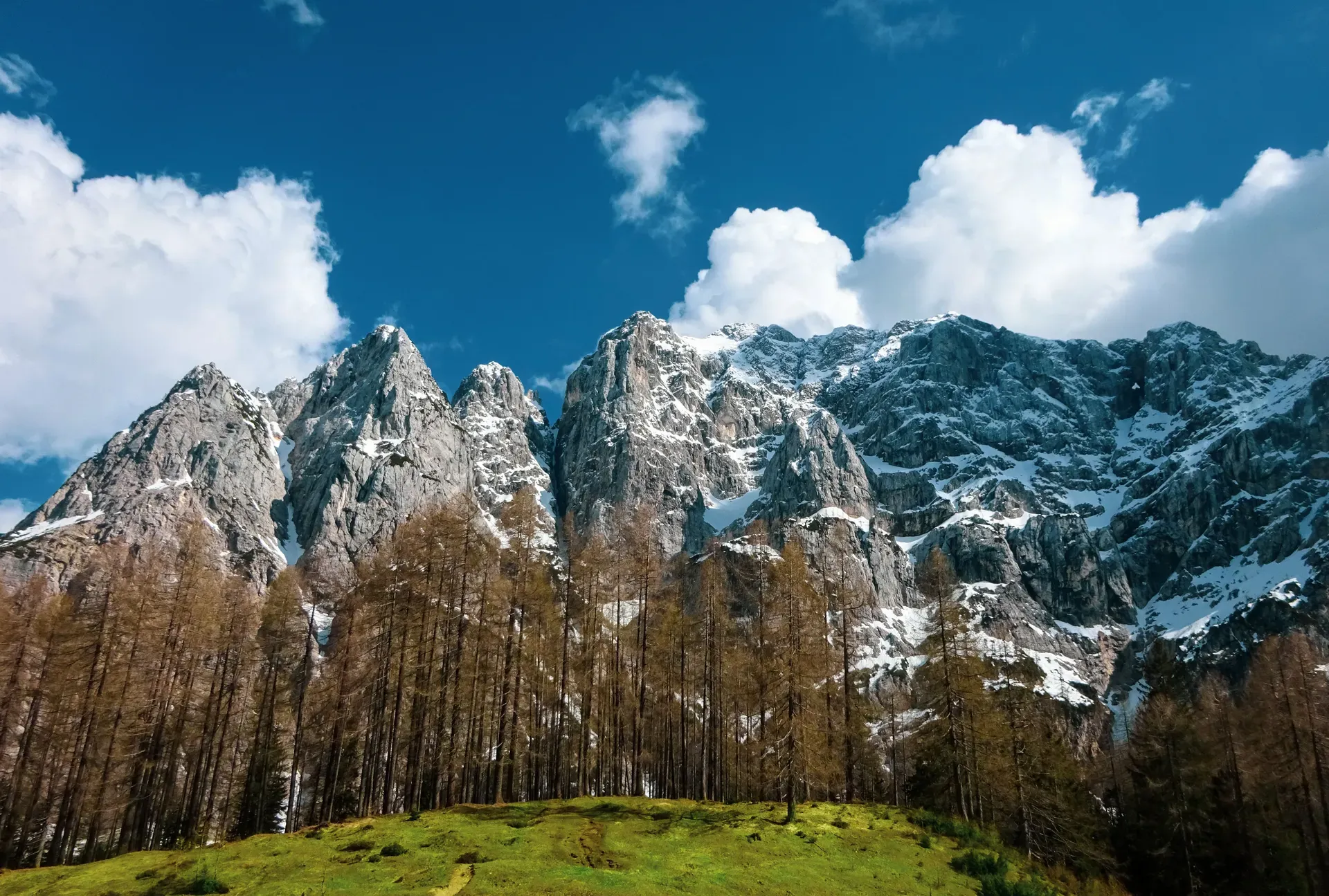 Parco nazionale del Tricorno