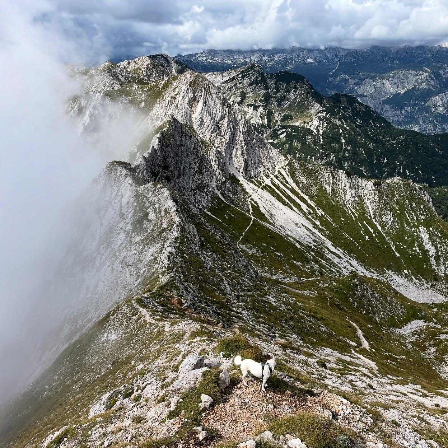 Vista di Parco nazionale del Tricorno