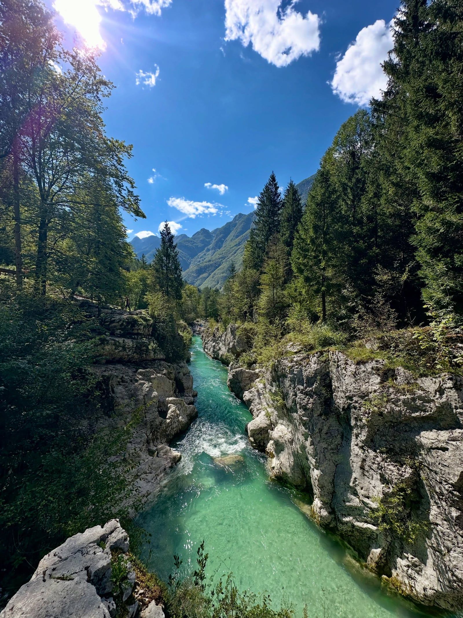 Vista di Parco nazionale del Tricorno