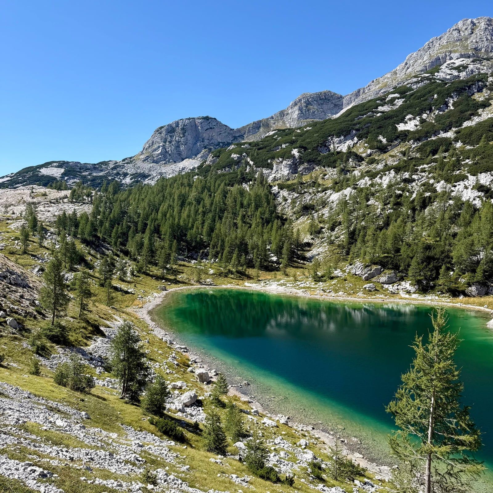 Vista di Parco nazionale del Tricorno